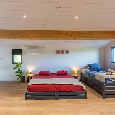 Maison Contemporaine Celeste Villa